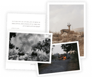 סט 13 גלויות א״ד גורדון