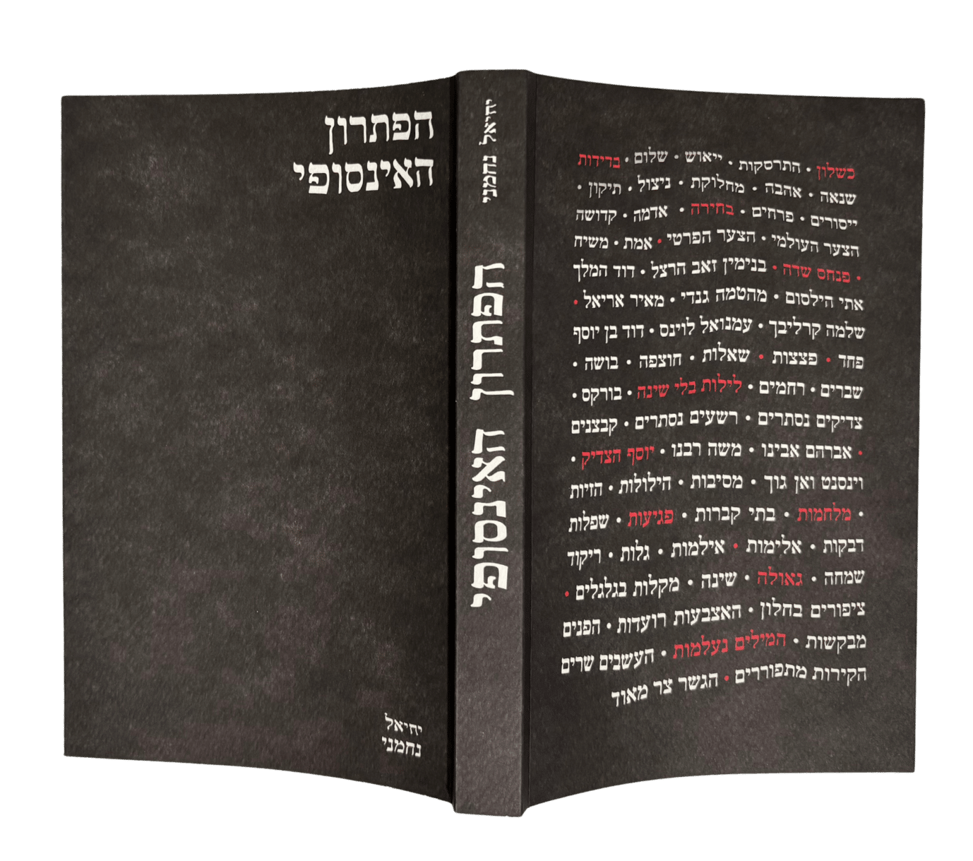 הפתרון האינסופי